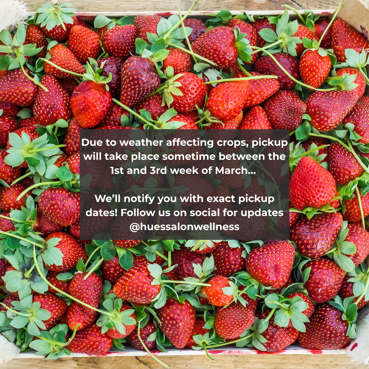 Strawberry Fundraiser Box - Each Flat Includes: 8 count of 1qt containers